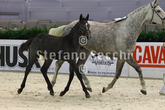 CA D ORO_MILANO_2010_SS3_3933.jpg